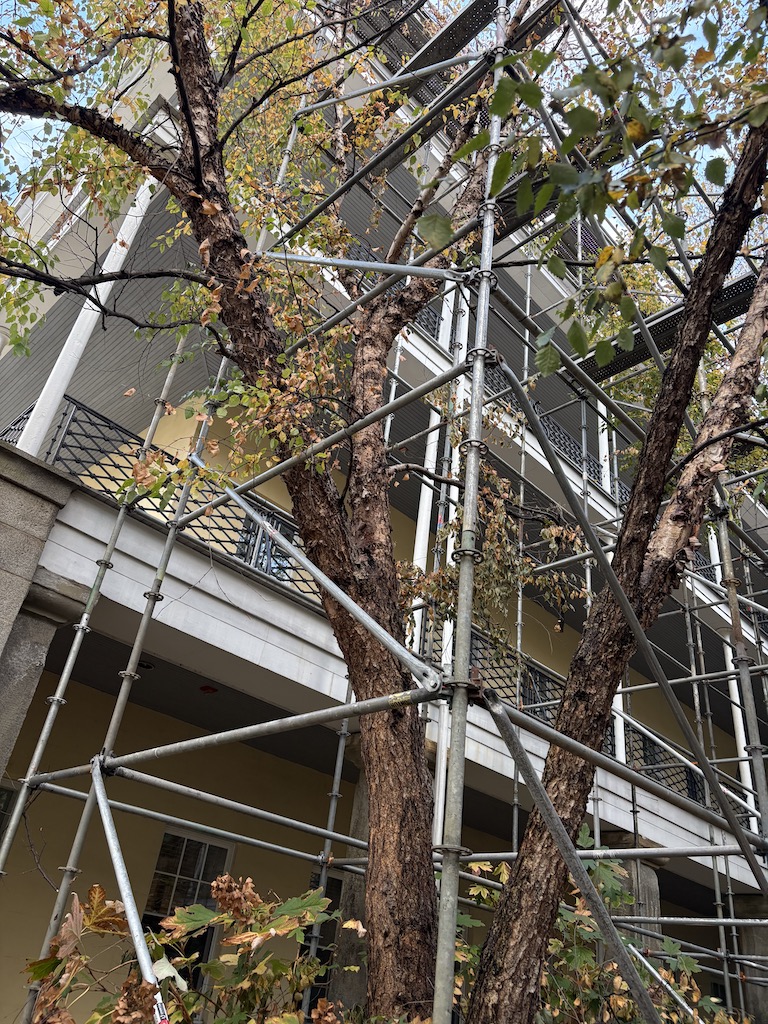 Superior scaffold, system scaffold, scaffolding, maze, roofing, masonry, renovation, painting, Philadelphia, new jersey, PA, NJ, DE, EDA, work deck, platform